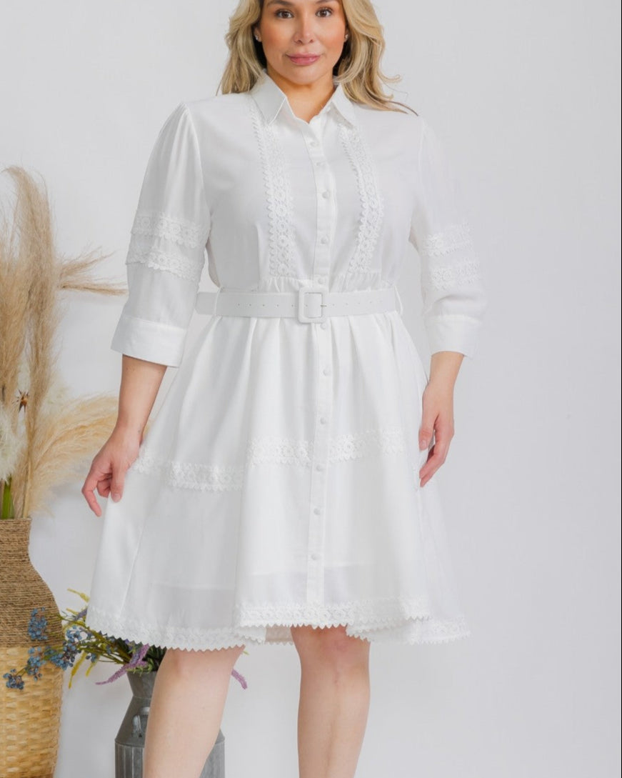Sunday Best Dress (Plus)